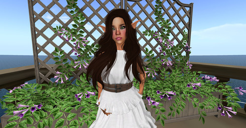 Web 63649001d60b397ed2fbf2d6