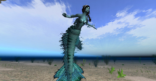 Web 6386f94eb1551b41495038a1