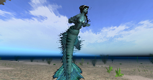 Web 6386f961b1551b429f5038a1