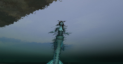 Web 6386fa94f7069f6bac0f9a29