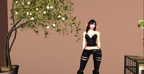 Web 64b069c615684f78316b98c5