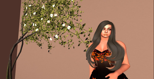 Web 64b08e266ed22a49bf441051