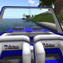 Thumb 52fe87018da572502f000001