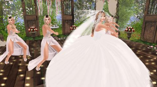 Web 5f17f21a73ed1766da500937