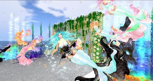 Web 6312526e232df016fb590a37