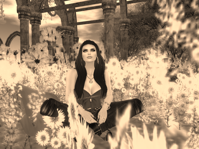 Original 5af404c0d9859c4af0000001