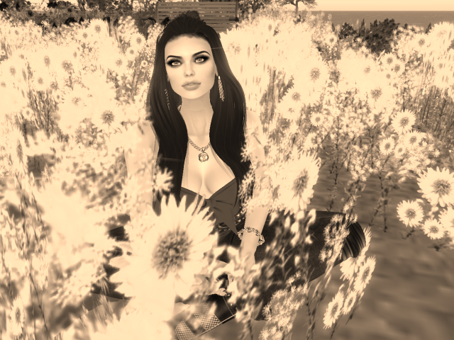 Original 5af405d5d9859c4f06000001