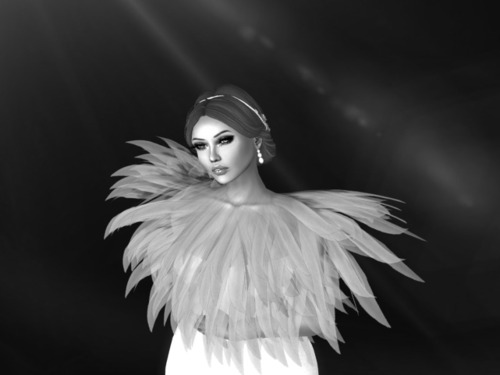 Web 565bc74af8a1ec2d90000001