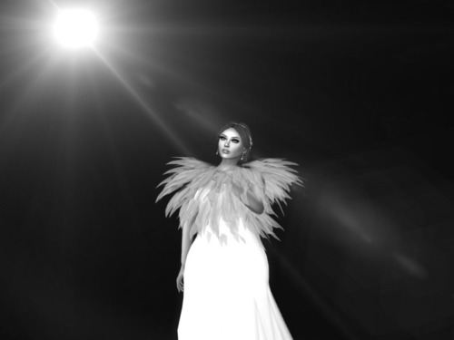 Web 565bc918128cc91f97000001