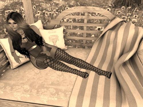 Web 5aec9803d774f833dd000001