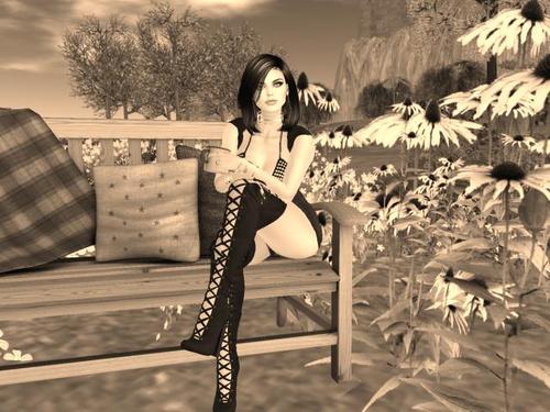 Web 5af84dc9d774f80f36000001