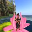 Thumb 512bc330c625dd128d000001