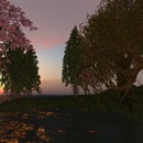 Thumb 51cd7fd51dfd283325000001