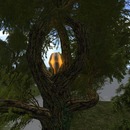 Thumb 51cd80be1dfd283434000001