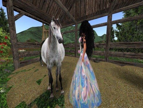 Web 51423a8bc376a33603000001