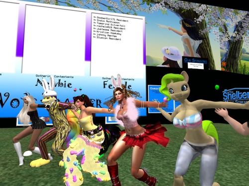 Web 51574b1a9d79c34ad2000001