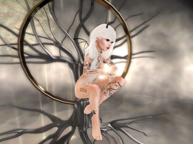 Original 5bd6f85e289dd23732000001