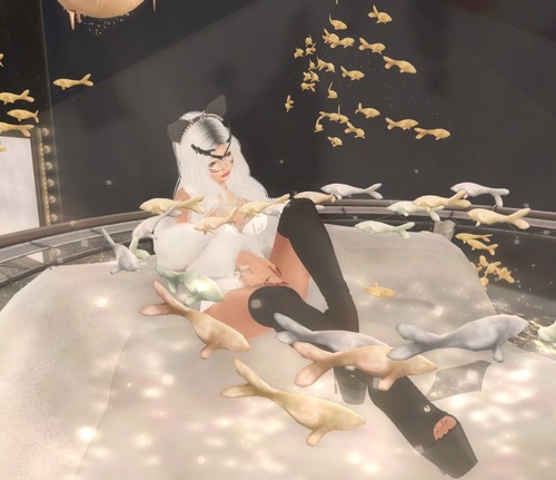 Web 581c4a37e85cda0632000001