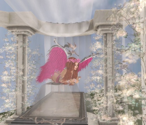 Web 581e285ff8a1ec2690000001