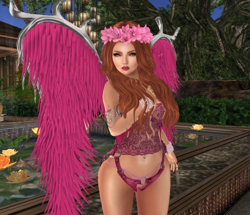 Web 581e2e5bb713f733d4000001