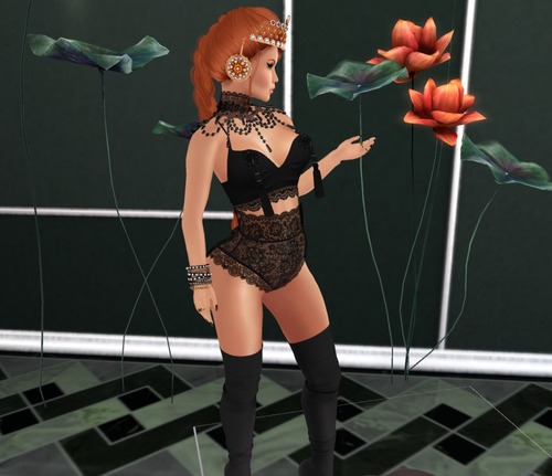 Web 5823513fe85cda15ca000001