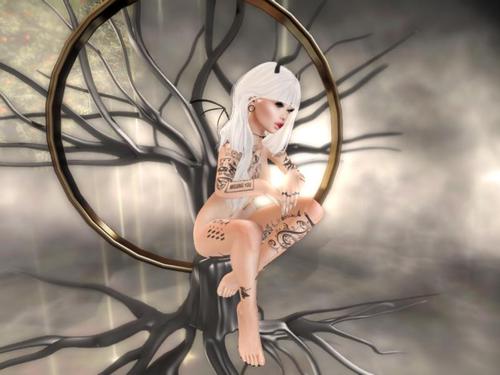 Web 5bd6f85e289dd23732000001