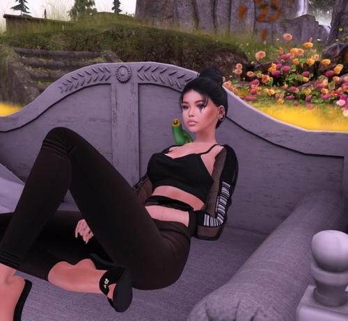 Web 5f022a12d774f852e54f8321