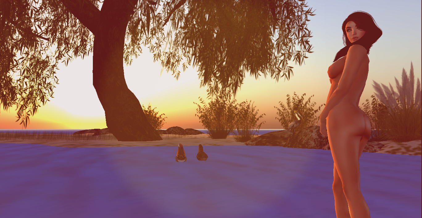 Original 541c6332a73e217a71000001