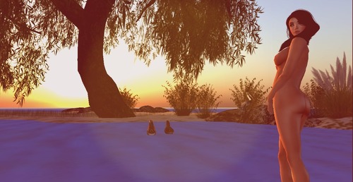 Web 541c6332a73e217a71000001