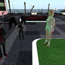 Thumb 556bc0d6a73e216229000001