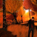 Thumb 556c86c08da5721618000001