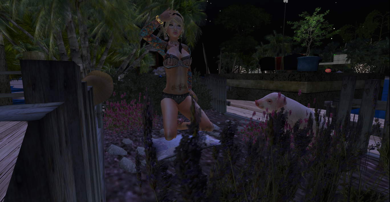 Original 516c16d560b8a60e72000001