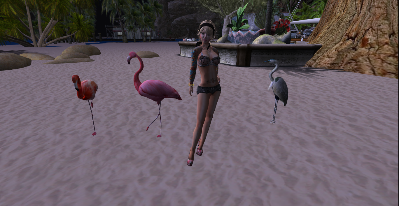 Original 516c19d739b4be4e0c000001