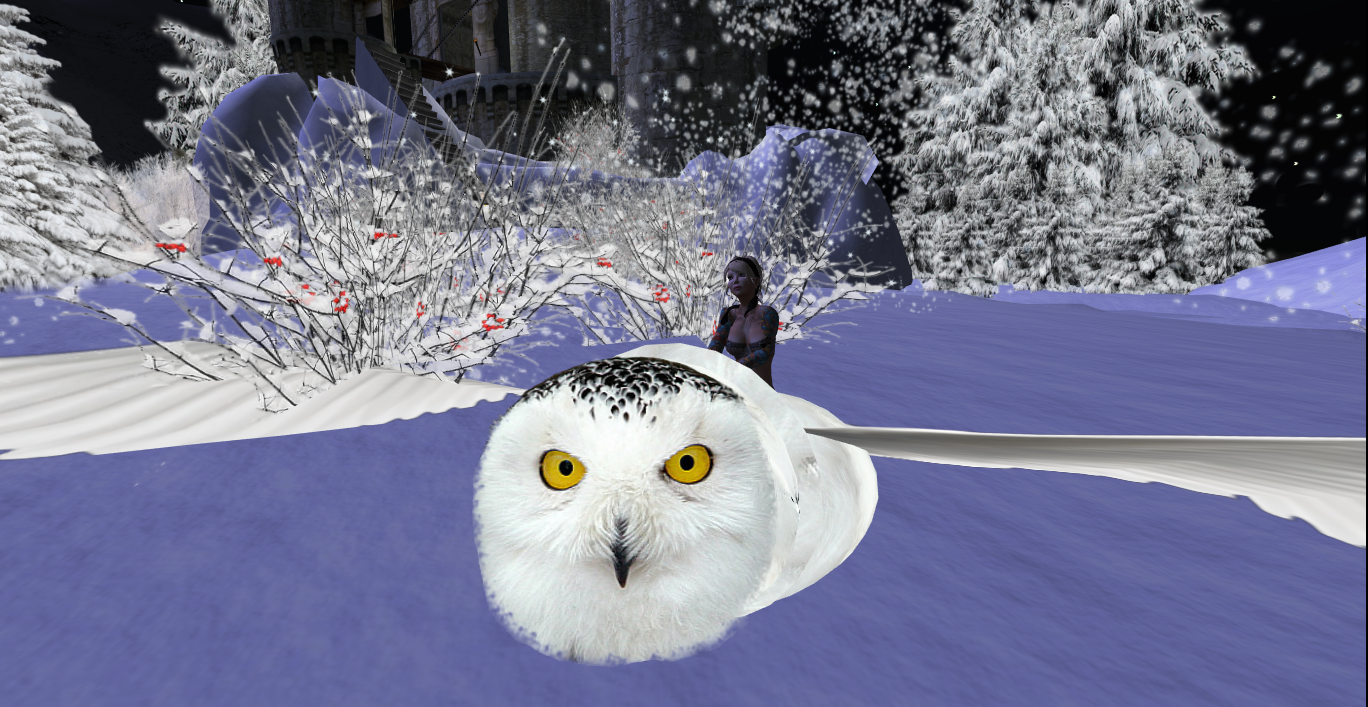 Original 516c51c58dbc1d4184000001