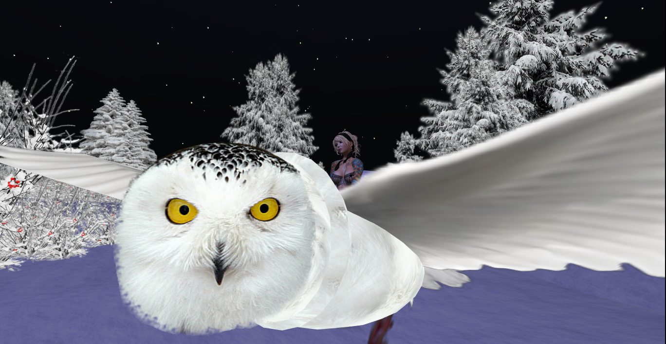 Original 516c51fea6757b0461000001