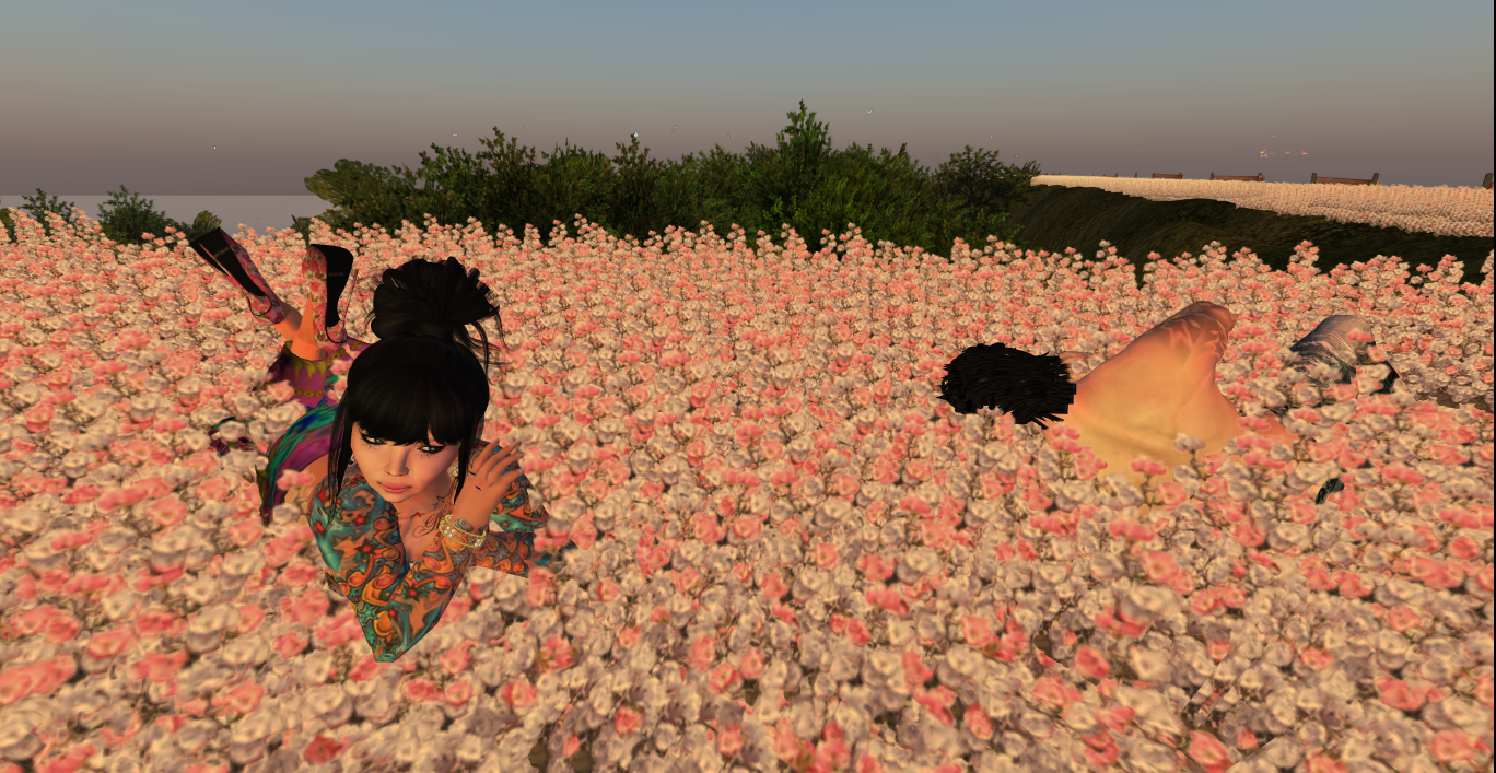 Original 516eddb4205bbf4b0c000001