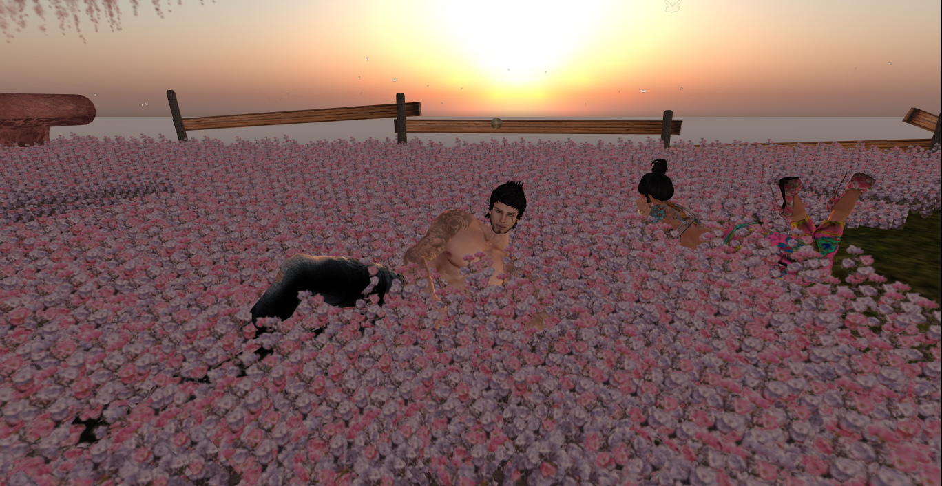 Original 516eddea74a210033c000001