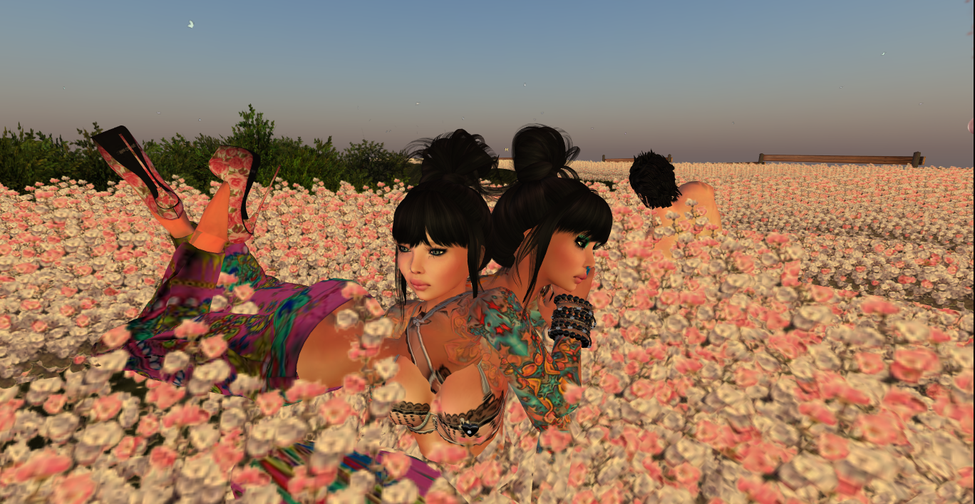 Original 516ede9974a2100682000001