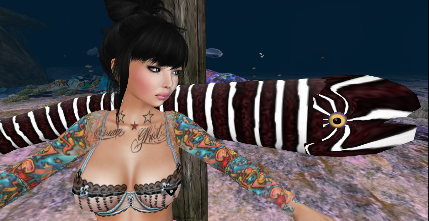 Original 516f2415205bbf5c3a000001