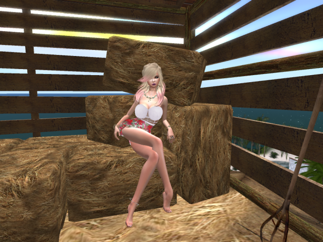 Original 5dab003dd774f8751f000001