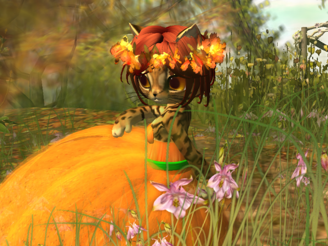 Original 5de52993d9859c7b9766499d