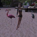 Thumb 516c19d739b4be4e0c000001