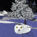 Thumb 516c516c0d523254ea000001