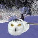 Thumb 516c51c58dbc1d4184000001