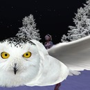 Thumb 516c51fea6757b0461000001