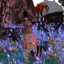 Thumb 516d94c1295dcc6523000001