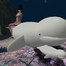 Thumb 516dc55f118cb73237000001