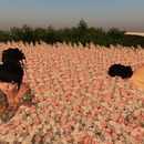 Thumb 516eddb4205bbf4b0c000001