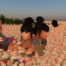 Thumb 516ede9974a2100682000001