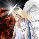 Thumb 516fc045cf63cd3402000001